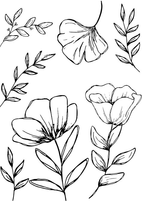 . Over 100 high-resolution images of botanical art in a variety of styles to download and. #BusinessFonts #ProfessionalFonts #CreativeFonts  #FontLove #FontObsessed Free Flower Clipart, Flower Art Drawing, Floral Drawing, Flower Doodles, Flower Clipart, Botanical Drawings, الرسومات اللطيفة, Botanical Art, Flower Drawing