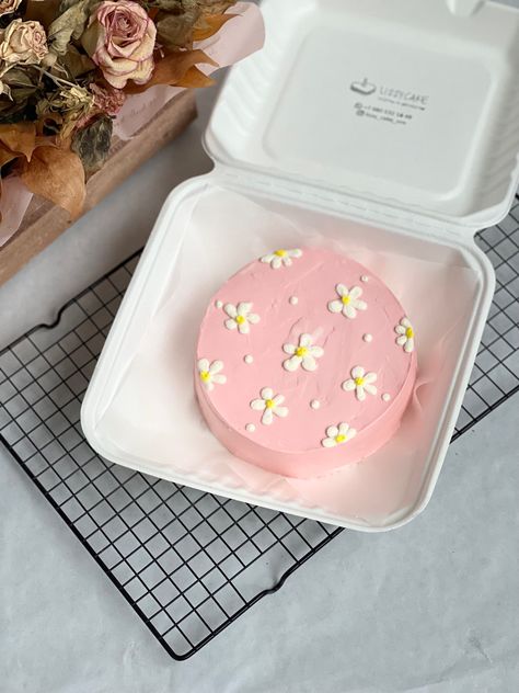 Cute Lunch Box Cakes, Korean Box Lunch Cake, Lunch Box Cake Design, Bento Box Cake Design, Mini Korean Cake, Korean Lunch Box Cake, Lunch Box Cakes, Bento Box Cake, Korean Lunch Box