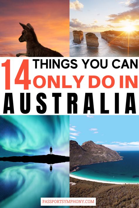 14 experiences you can have only in Australia and nowhere else 14 Things To Do In Australia Bucket Lists, Things To Do Australia, Australia Vacation Destinations, Australia Must See Places, Australia Must See, Visiting Australia, Best Things To Do In Australia, What To Do In Australia, Best Places To Visit In Australia