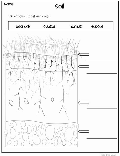 Layers Of soil Worksheet Inspirational Label soil Layers Diagram – Chessmuseum Template Library Soil Worksheet, Worksheet 3rd Grade, Layers Of Soil, Soil Activities, Worksheets 3rd Grade, Grade 3 Science, Science Printables, Rock Cycle, 1st Grade Science