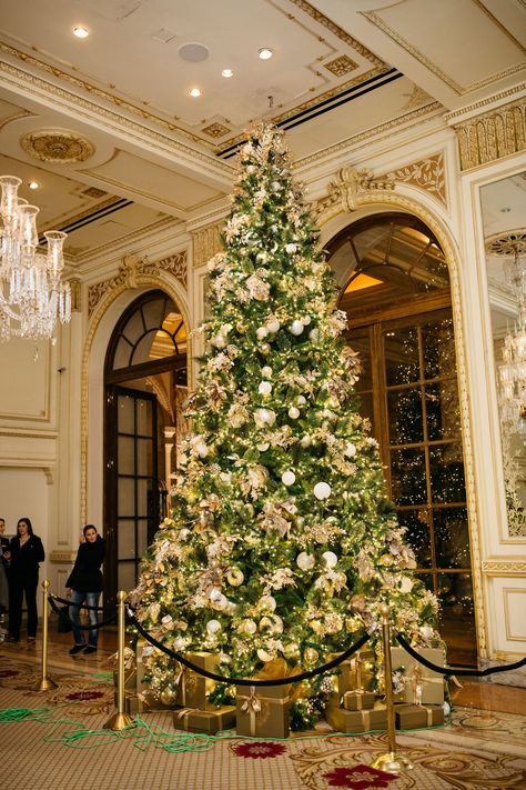 The Plaza Hotel, New York Hotel Christmas Decorations, Hotel Christmas, Halloween Front Porch Decor, Nyc Christmas, New York Hotels, Christmas Decorations For Kids, Halloween Front Porch, Christmas Town, Beautiful Christmas Trees