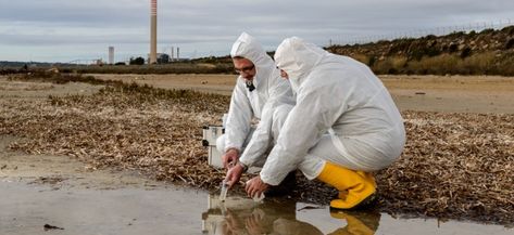 Industrial ecologists do laboratory and field tests to monitor the environment and investigate sources of pollution, including those affecting health. Stormwater Management, Environmental Scientist, Digital Marketing Channels, Environmental Engineering, Hazardous Waste, Tampa Bay Area, Water Resources, Consulting Services, Consulting Firms