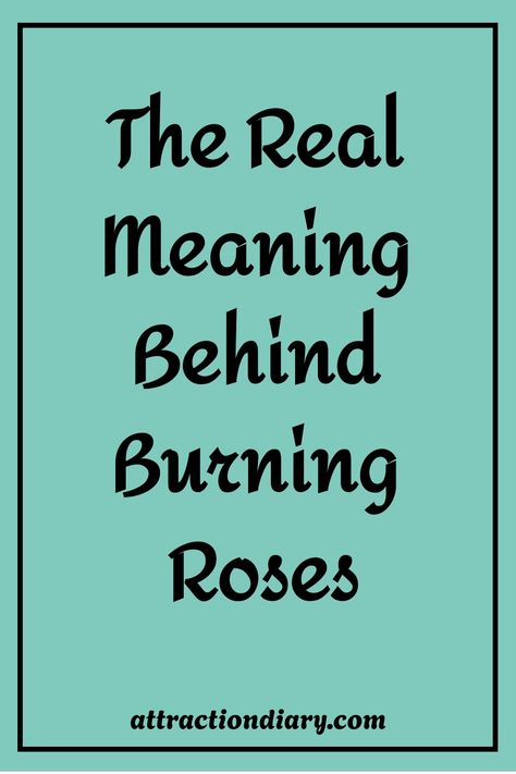 Graphic with text "The Real Meaning Behind Burning Roses" on a teal background, indicating an article or post from attractiondiary.com about the symbolism of burning roses. Fire And Ice Roses, Rose On Fire, Peace And Chaos, Burning Rose, Rose Meaning, Frozen Rose, Relationship Posts, Ending A Relationship, Dating Coach