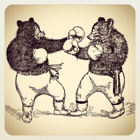 I was looking for #vintage #boxing images this morning and came across this gem! A vintage #illustration by V. Ford Campbell for the #RooseveltBears books by Seymour Eaton in the early 1900s. It #inspired not only my #dailydrawing but also a trip to the #Zoo to see the #bears! Bears Drawing, Bears Illustration, Vintage Tattoo Art, Bear Vector, Bear Drawing, Bear Clipart, Bear Illustration, Animal Graphic, Kids Clipart