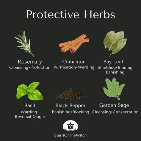 Protective Herbs Witchcraft, Protective Wards Witchcraft, Herbs For Home Protection, Protection Herbs Witchcraft, Basil Witchcraft, Sage Witchcraft, Sage Magic, Abundance Spells, Protection Herbs