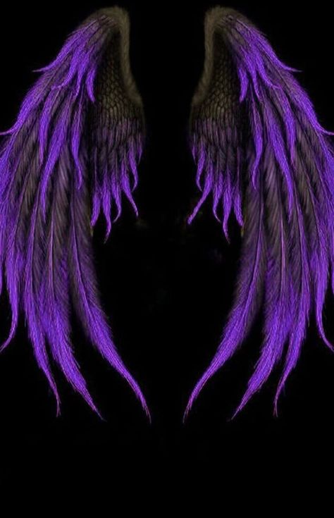 Angel Wings Drawing, Angel Wings Art, Wings Wallpaper, Dark Purple Wallpaper, Wings Drawing, Black Wallpaper Iphone Dark, Angel Wings Tattoo, Angel Wallpaper, Crazy Wallpaper