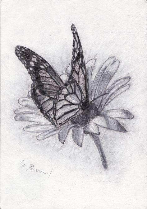 Things To Draw Ideas, To Draw Ideas, Butterfly Sketch, Easy Things To Draw, Charcoal Paint, Gcse Art Sketchbook, Best Pencil, Pencil Sketch Drawing, Art Charcoal