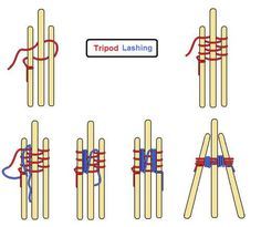 another pic for tripod lashing. So great for the start of your green bean tee pee instead of trying to tie after you have angled the poles. Fence Building, Diy Teepee, Survival Knots, Deco Champetre, Tee Pee, Knots Diy, Veggie Patch, Bamboo Garden, Wood Project