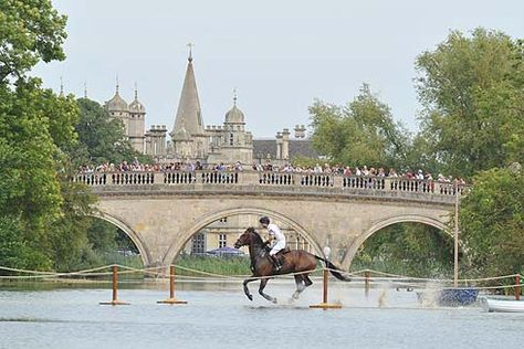 Burghley Horse Trials! Burghley Horse Trials, Equine Fashion, Horse Trials, Equestrian Events, Equestrian Aesthetic, Eventing Horses, Quiet Corner, English Riding, Equestrian Lifestyle