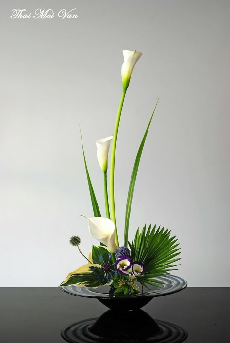 Arreglos Ikebana, Contemporary Flower Arrangements, Modern Floral Arrangements, Floral Art Arrangements, Sogetsu Ikebana, Tropical Floral Arrangements, Tropical Flower Arrangements, Flower Arrangement Designs, Ikebana Arrangements