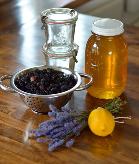 Mulberry Jam Recipe — Monte Farm Mulberry Jam Recipe, Mulberry Jam, Mulberry Fruit, Weck Jars, Honey Works, Jar Of Jam, Pint Jars, Mulberry Tree, How To Make Jam