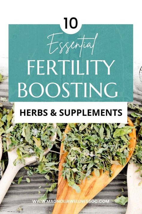 Looking to improve your fertility naturally? In this article, I´m sharing 10 of the very best fertility herbs and supplements for women trying to conceive to help balance hormones, improve ovulation, increase egg quality and give your fertility a boost! No matter how you are trying to conceive these natural fertility boosters will support your fertility journey! Magnolia Wellness OC | Natural Fertility, Holistic Health & TCM Must Have Herbs, T3 Hormone, Fertility Herbs, Herbs For Fertility, Natural Fertility Boosters, Holistic Fertility, Fertility Boosters, Fertility Supplements, Egg Quality