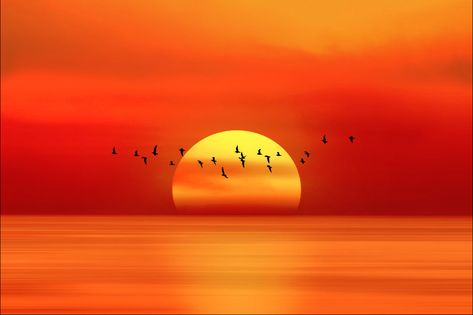 When The Sun Goes Down - Imgur Beach Tumblr, Color Vibe, Orange Aesthetic, Sunset Wallpaper, Sun Goes Down, Beach Sunset, Amazing Nature, Sunrise Sunset, High Quality Art Prints