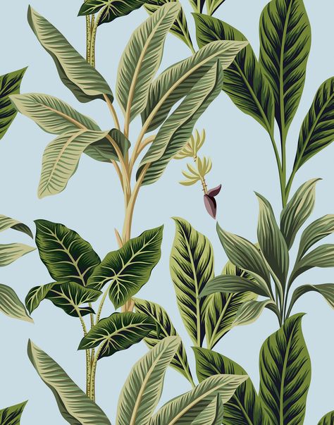 Vintage Tropical Wallpaper, Cool White Backgrounds, Perspective City, Flora Vintage, Banana Palm, Palm Wallpaper, Vintage Tropical, Vintage Floral Design, Point Perspective