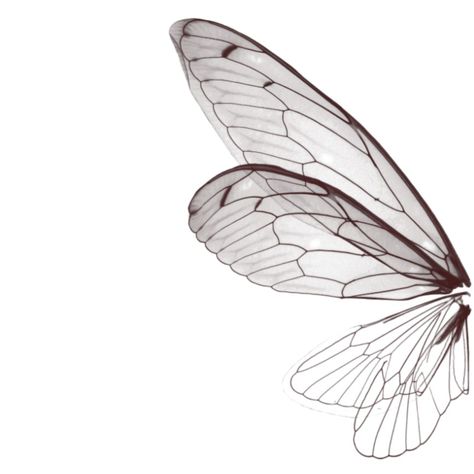 Fairy Wings Png, Fairy Wings Aesthetic, Fairy Wings Drawing, Butterfly Wing Design, Butterfly Flying, Aesthetics Art, Wings Png, Tattoo Board, Wings Drawing