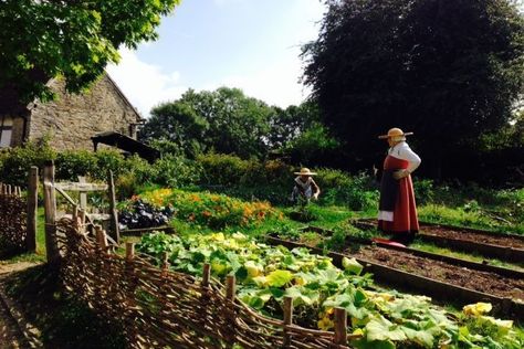 Medieval Farm, The Tudor Family, Tudor Monarchs, Tudor England, Tudor Costumes, Tudor Period, Tudor History, Viking History, Historic Houses