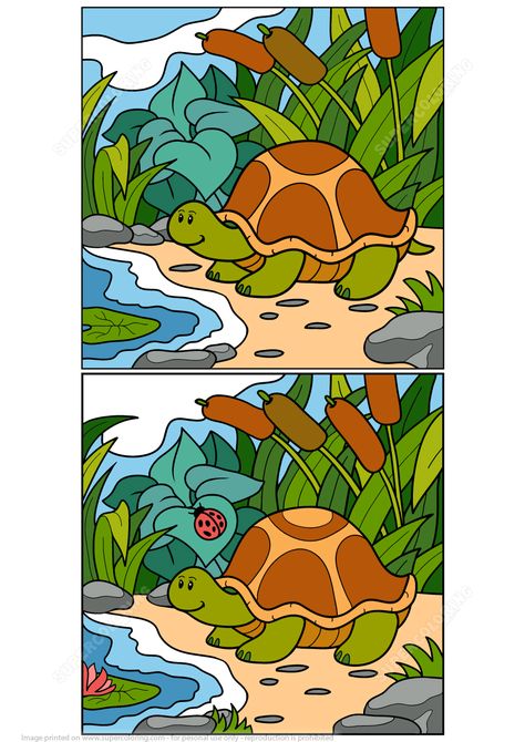 Find 12 Differences Between Pictures of Turtle Puzzle | Super Coloring Find The Difference Between Two Pictures, Spot The Difference Kids, Spot The Difference Printable, Pictures Of Turtles, Find The Difference Pictures, Spot The Difference Puzzle, Find The Differences Games, Hidden Object Puzzles, Winter Classroom Activities