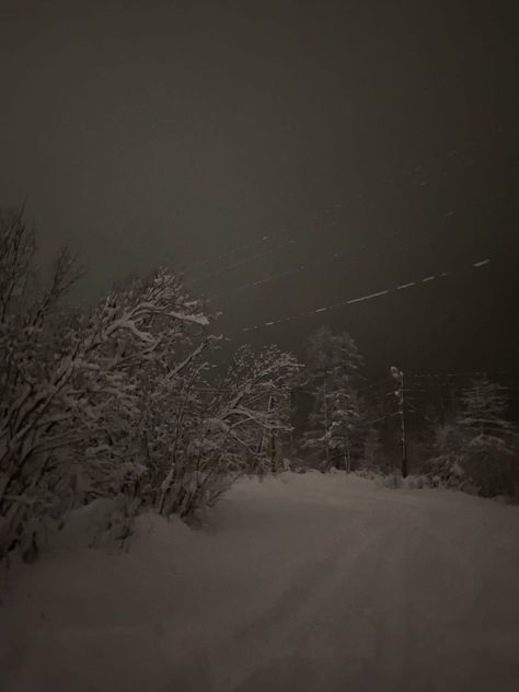 In The Woods, Night Time, At Night, Trees, Road