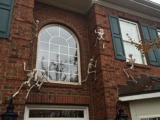 So you want to be the cool (scary) house on the street this Halloween, but aren't just sure how to put your outdoor decorations over the top? Why not add some real... Scary Houses, Halloween Outside, Halloween Party Dinner, Skeleton Decorations, Spooky Halloween Decorations, Secret Door, Pumpkin Halloween Decorations, Up House, Up Halloween