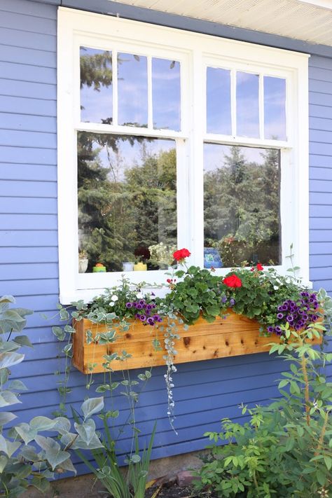 Picture Window Landscaping, Flowers Around House Ideas, Cedar Flower Box Window, Periwinkle Exterior House Colors, Under Window Planter Boxes, Diy Window Planter Boxes, Flower Boxes Window, Kitchen Window Box, Diy Window Boxes