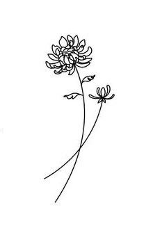 Minimal Chrysanthemum Tattoo, Dahlia Line Tattoo, Dahlia Tattoo Small Simple, Chrysanthemum Wrist Tattoo, Tiny Chrysanthemum Tattoo, Small Chrysanthemum Flower Tattoo, Chrysanthemum Tattoo Small Birth Flowers, Simple Dahlia Tattoo, Chrysanthemum Drawing Simple