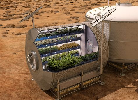 growing food in space on mars future timeline Future Food Technology, Sci Fi Food Concept Art, Space Colony Concept, Mars Colony, Space Lab, Space Colony, Mars Planet, Food Technology, Growing Veggies