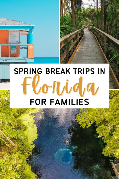 Planning a family trip to Florida for Spring Break? Discover all the best places to visit with kids in Florida during Spring Break. These top spring break destinations in Florida are perfect for families looking for a fun vacation. Explore outdoor destinations like beaches, lagoons, and marshes or head to the theme parks! With plenty of awesome kid-friendly vacation spots, Florida is a great destination for a Spring Break vacation! Spring Break Destinations Families, Places To Visit With Kids, Florida Spring Break, Spring Break Florida, Florida Vacation Spots, Family Spring Break, Best Family Vacation Destinations, Spring Break Kids, Spring Break Vacation