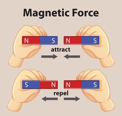 Magnetic force show magnetic attraction and repulsion for kids physics educational Force Pictures, Chemistry Between Two People, Magnet Drawing, Science Electricity, Physics Projects, Magnets Science, Picture Magnets, Classroom Charts, Physics Notes