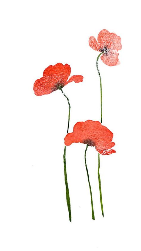 Easy Poppy Flower Painting, Water Colour Poppy, Watercolour Poppies, Red Poppy Flower Drawing, Poppy Seed Heads Watercolour, Painted Guitar, Poppy Watercolor, Water Colour Painting Flowers Red Poppies, Kids Fathers Day Crafts