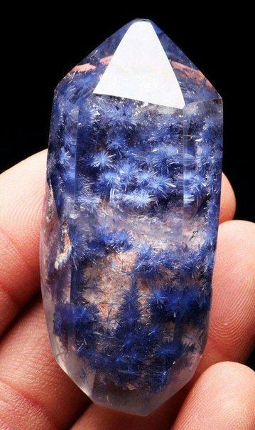 Разнообразие включений в кварце. Rock And Minerals, Black Pinterest, Rock Minerals, Pretty Rocks, Phantom Quartz, Beautiful Rocks, Spring Jewelry, Rock Chic, Mineral Stone