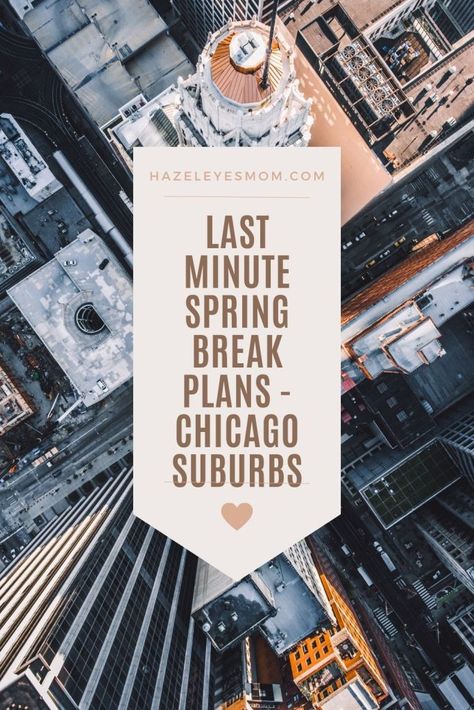 Last Minute Spring Break Plans – Chicago Suburbs Spring Break Getaways, Chicago Attractions, Brookfield Zoo, Chicago Things To Do, Visit Chicago, Chicago Suburbs, Old Orchard, Natural Ecosystem, Break In