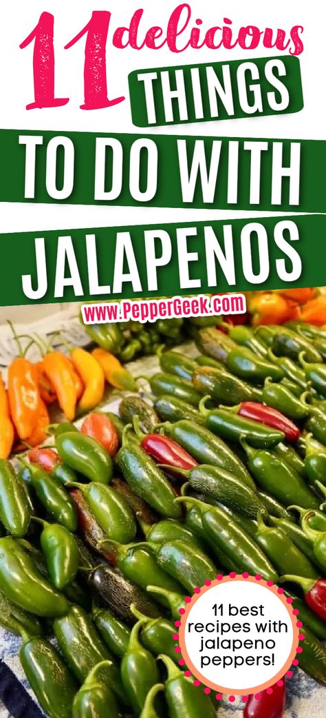 Fresh Jalapeno Recipes, Pickled Jalapeno Recipe, Jalapeno Appetizer, Canning Jalapeno Peppers, Hot Pepper Recipes, Roasted Jalapeno, Produce Recipes, Recipes To Make At Home, Pepper Recipes