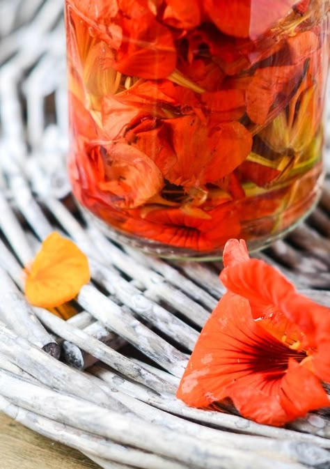 nasturtium Nasturtium Flowers, Tropaeolum Majus, Edible Flowers Recipes, Foraging Recipes, Foraged Food, Tabasco Sauce, Wild Edibles, Garden Recipes, Super Easy Recipes