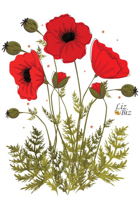 Vibrant red poppies for those times that you are missing summer. Botanical illustration, print, floral drawing, digital art, graphic design illustration, vector art, flower, flowers Red Poppy Illustration, Red Poppy Flower Drawing, Poppy Flower Design, Poppies Illustration, Red Poppy Drawing, Red Flower Drawing, Poppy Flower Illustration, Red Poppy, Poppy Illustration