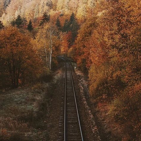 @irynatatarchuk Jordan Core, Fall Mood Board, Autumn Morning, Best Seasons, We Fall In Love, Autumn Cozy, Brown Aesthetic, Lombok, Autumn Aesthetic