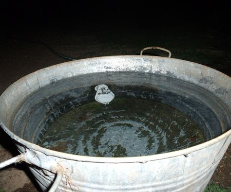 This instructable  stems from my being lazy and my very large dog that drinks lots of water.  I doubt this idea would scale down for a small dog but it works great for for 5 gal buckets.  The photos i have taken are actually from disassembling and cleaning a water bowl that i have used for over 3 years.  This is a pretty simple build. Diy Dog Run, Puppies Tips, Pygmy Goat, Dog Run, Water Station, Dog Yard, Being Lazy, Dog Water Bowls, Dog Rooms