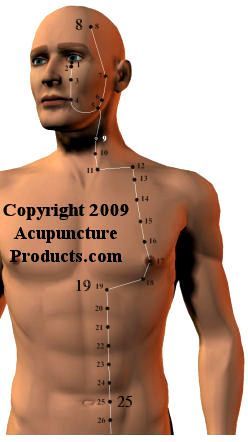 Acupuncture Stomach Meridian ST Stomach Meridian, Chinese Acupuncture, Gastrocnemius Muscle, Yin Yoga Poses, Music Mixing, Health World, Stronger Teeth, Facial Rejuvenation, Acupuncture Points