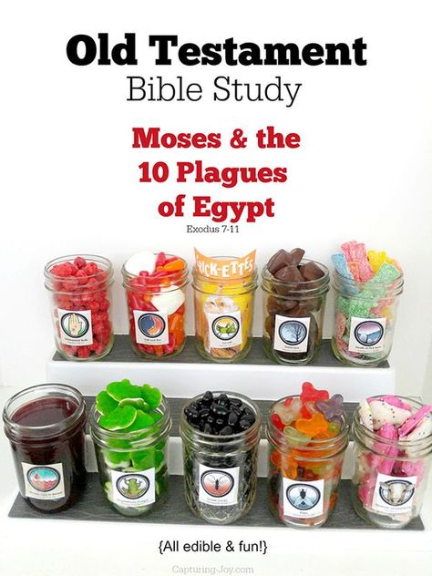 Old Testament Bible Study Moses and the 10 Plagues of Egypt, edible and fun! Capturing-Joy.com Exodus Plagues Craft, 12 Plagues Of Egypt Craft, Moses Object Lesson, Ten Plagues Activity, Bible Sensory Activities, Moses And The Plagues Craft, Ten Plagues Craft, Moses Activities, Moses And The Plagues