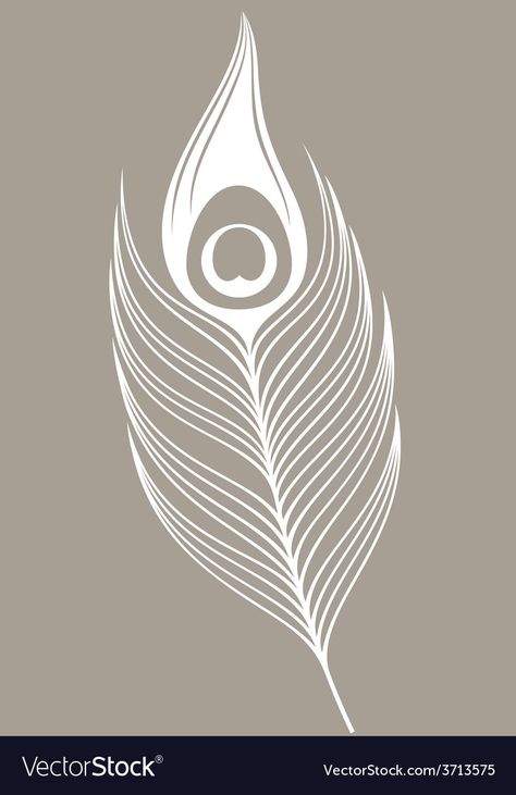 Peacock Feather Vector Design, Peacock Feathers Illustration, Peacock Feather Vector, Peacock Feather Drawing, Peacock Vector, Peacock White, Feather Peacock, Peacock Feather Design, Feather Illustration