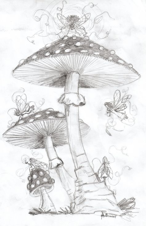 Mushroom Faeries by Dragon-of-the-Arts @deviantART Mushroom Drawings, Beautiful Pencil Drawings, Evil Fairy, Fairy Drawings, Mushroom Drawing, Fantasy Drawings, House Drawing, Mushroom Art, Pencil Art Drawings