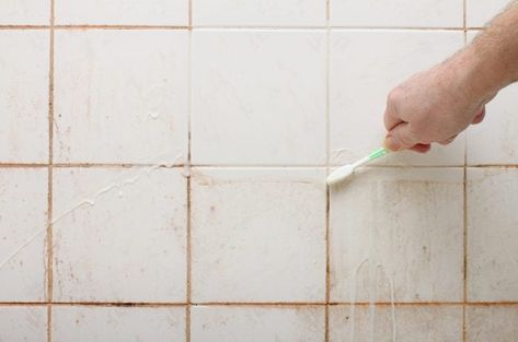 How to Get Rid of Pink Mold in Your Shower How To Get Rid Of Shower Mold, Pink Mold In Shower Bathroom, Remove Mold From Shower Grout, How To Get Rid Of Bathroom Mold, Mold In Shower, Prevent Mold In Bathroom, Pink Mold, Cleaning The Bathroom, Hard Water Spots