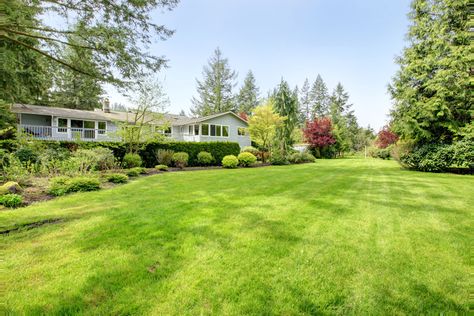 Big open backyard with no fence for pets Big Open Backyard, Home Fence Ideas, Open Backyard, Yard For Kids, Farm Backyard, Home Fence, Landscaping Along Fence, Metal Pool, Rich House