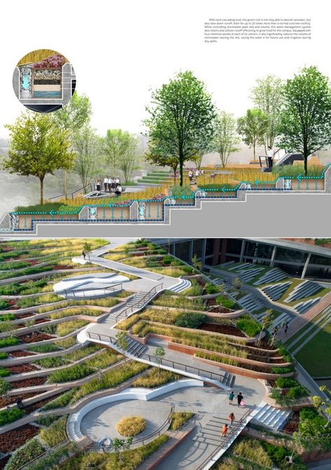 Park Architecture Public Spaces, Urban Rooftop, Urban Heat Island, Urban Landscape Design, Sustainable Agriculture, Landscape Architecture Design, Green Architecture, Parking Design, Urban Farming