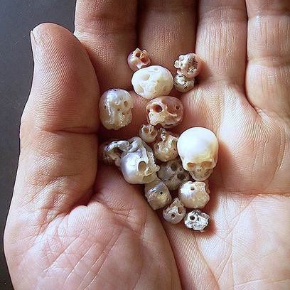 Pearl Skull, Inexpensive Jewelry, Japanese Jewelry, Jewelry Design Drawing, Skull Carving, Discount Jewelry, Skull Jewelry, Sea Glass Jewelry, Artistic Jewelry