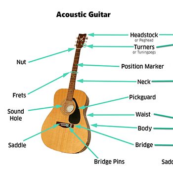 Guitar Anatomy | Parts Of A Guitar – Lesson #2 In Lesson #2 you'll learn the names of the different parts of a guitar, also known as guitar anatomy. This is important to understanding all guitar tutorials. #guitaranatomy #partsofaguitar #parts of the guitar #tomas michaud #tomas6750 Guitar Parts Name, Guitar Anatomy, Best Guitar For Beginners, Guitar Quotes, Guitar Classes, Beginner Guitar, Learning Guitar, Classic Jazz, Guitar Lessons For Beginners