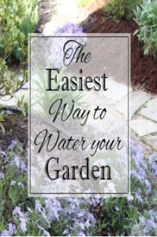 Project Gallery | Confessions of a Serial Do-it-Yourselfer In Ground Sprinkler System, Raspberry Canes, Edible Gardening, Patio Pergola, Garden Growing, Garden Help, Yard Project, Garden Yard Ideas, Sprinkler System