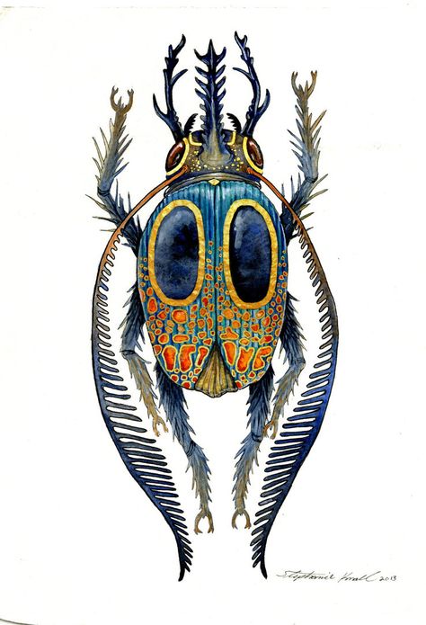 Imaginary Insect by SMK11 on DeviantArt Bugs Art, Beetle Art, Wild Tattoo, Bug Art, Beautiful Bugs, Insect Art, Craft Art, Art Card, Watercolor Animals