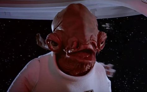 Admiral Ackbar. Star Wars Funny Celebrity Pics, Admiral Ackbar, Star Wars Love, Famous Movie Quotes, Funny Video Clips, Birthday Quotes Funny, Star Wars Humor, Star Wars Memes, To Infinity And Beyond