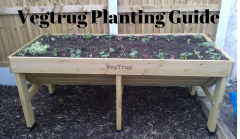 Vegtrug Planting Guide | Growing Guides Veg Trug Planting Ideas, Veg Trug, Planting Raised Garden Beds, Growing Strawberries In Containers, Vegetable Planting Guide, Herbs Growing, Hydrangea Seeds, Strawberries In Containers, Vegetable Planting