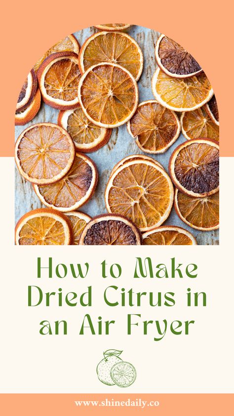 Air Fried Oranges, Dried Fruit Air Fryer, Dried Fruit In Air Fryer, Air Fryer Dried Fruit Recipes, Dehydrated Fruit In Air Fryer Oven, Dried Orange Garland Air Fryer, Dehydrated Oranges In Oven, Dehydrate Oranges In Oven, Dehydrating Fruit In Air Fryer